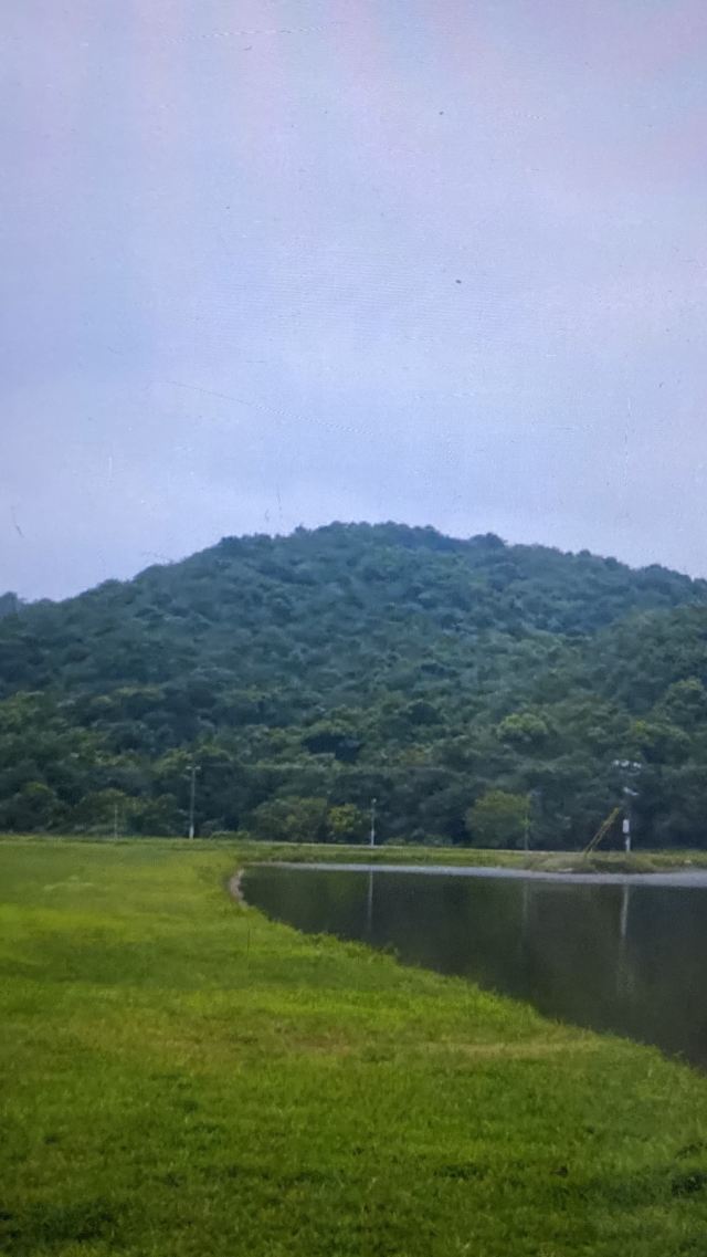 南大屿山郊野公园