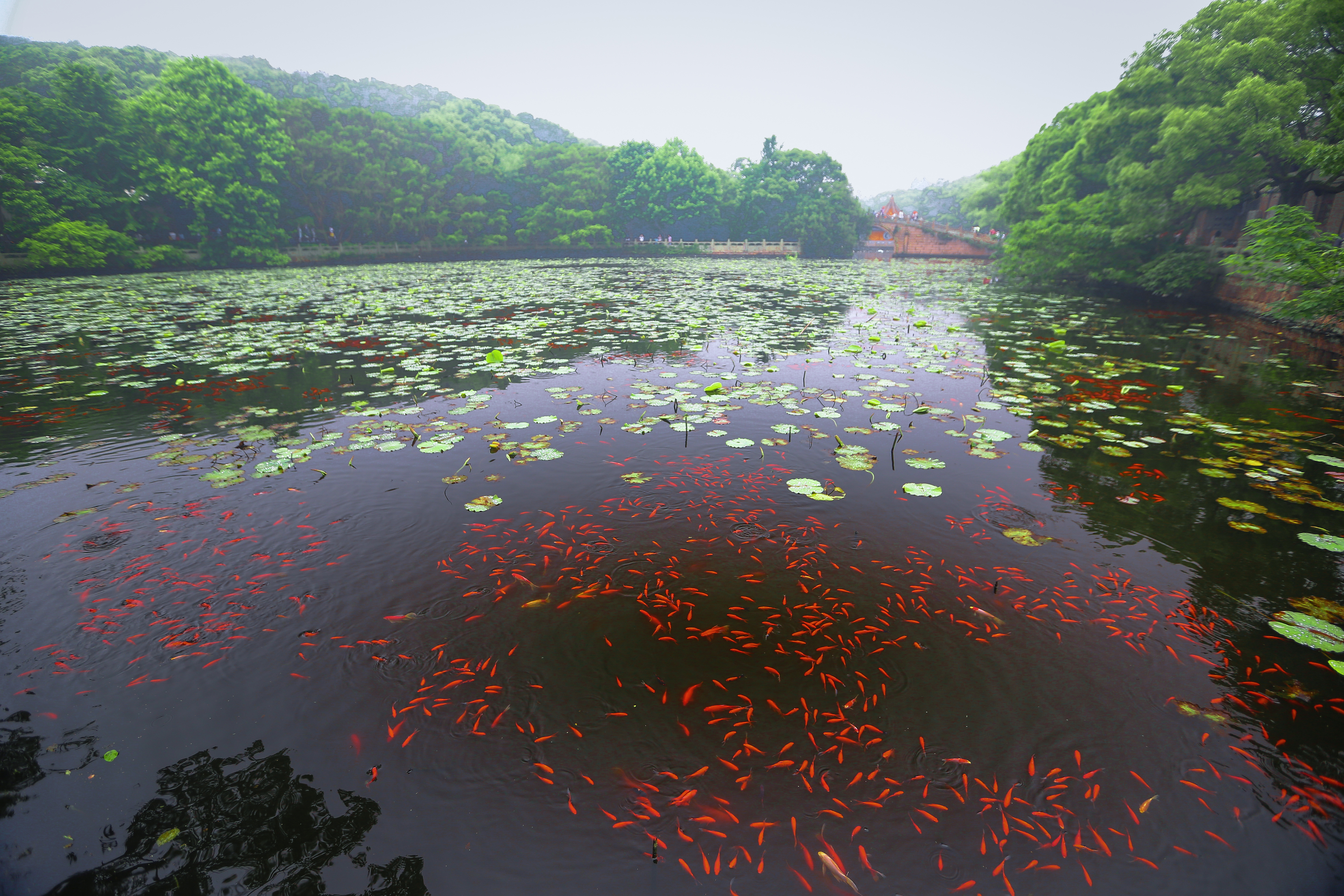 海印池