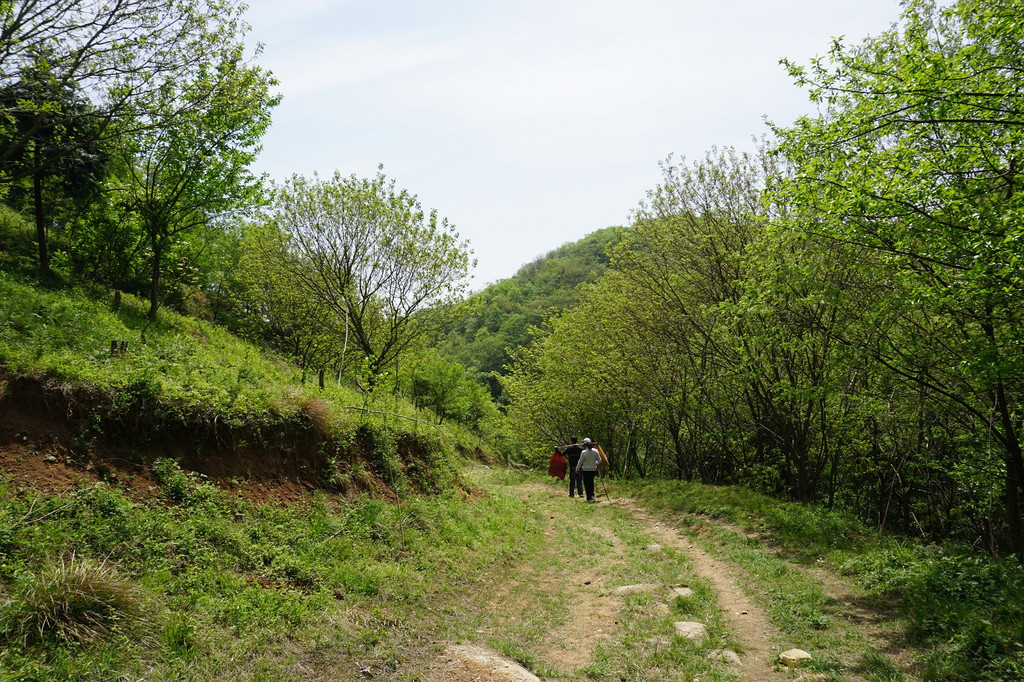 春游浮槎山