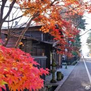 角馆景点 秋田的名物 稻庭乌冬 按理说 生乌冬比干乌冬的口感应该要好上不少 携程攻略