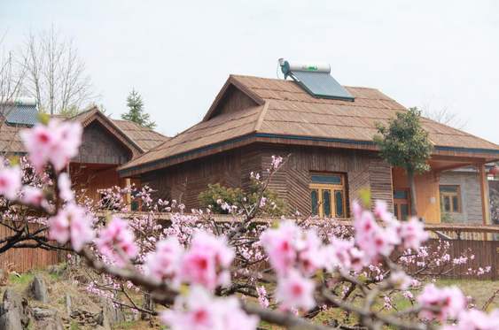 东戴河农家院