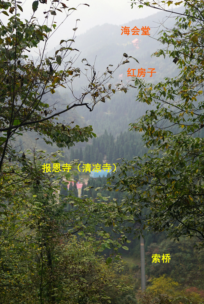 1005190000017a9sl96C6_R_800_10000_Q90.jpg?proc=autoorient