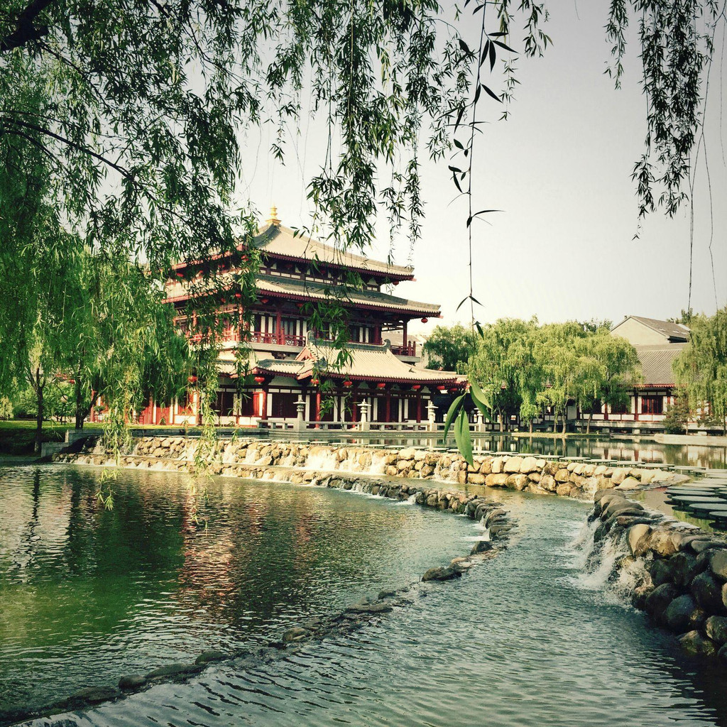 恐逢故里莺花笑,且向长安度一春