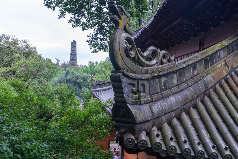 自驾鱼米之乡，浙里有点意思：宁波-舟山-台州-温州