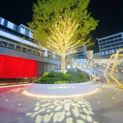 2020重庆市人民政府旅游免费(重庆景区门票优惠政策2020)(图2) 【携程攻略】携程旅游攻略,自助游,自驾游,