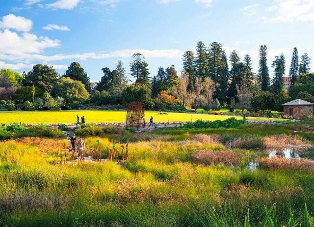 阿德莱德植物园