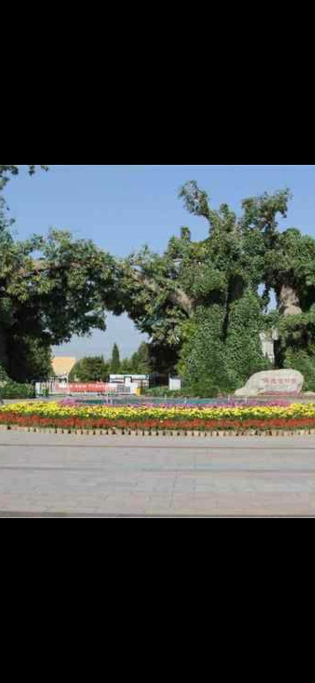 保定保定植物园攻略,保定保定植物园门票/游玩攻略/地址/图片/门票