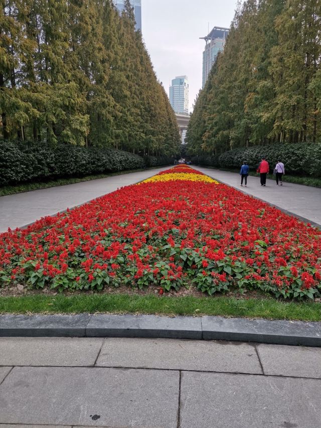 延安中路大型公共绿地段