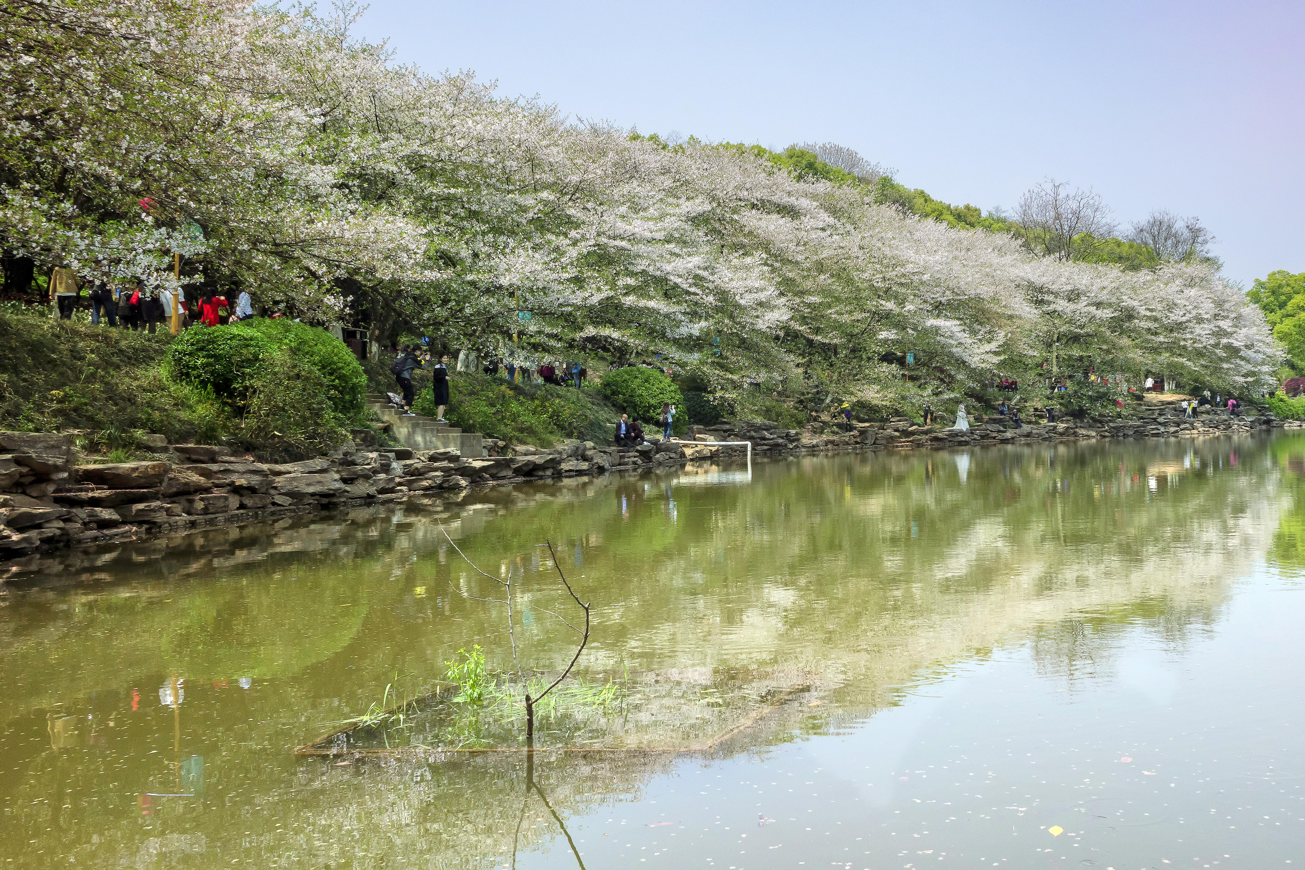 湖南省森林植物园