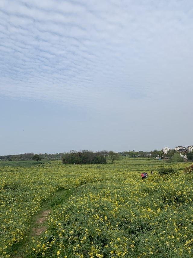 南京高淳国际慢城攻略,南京高淳国际慢城门票/游玩攻略/地址/图片