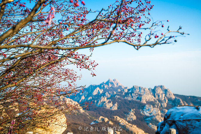 山东 探访崂山太清宫 揭秘崂山道士穿墙术 - 青