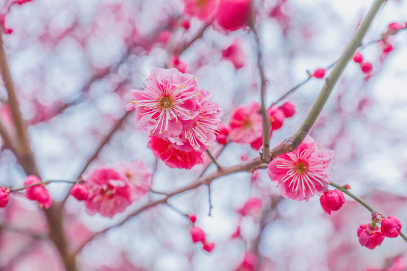 100812000000rsjbj384A_R_800_10000_Q90.jpg?proc=autoorient