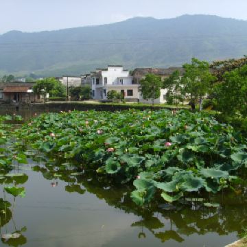 安徽黟县旅游景点_黟县旅游收入(3)