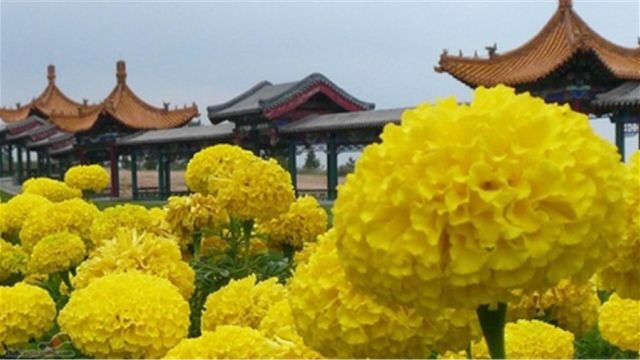 南山公园