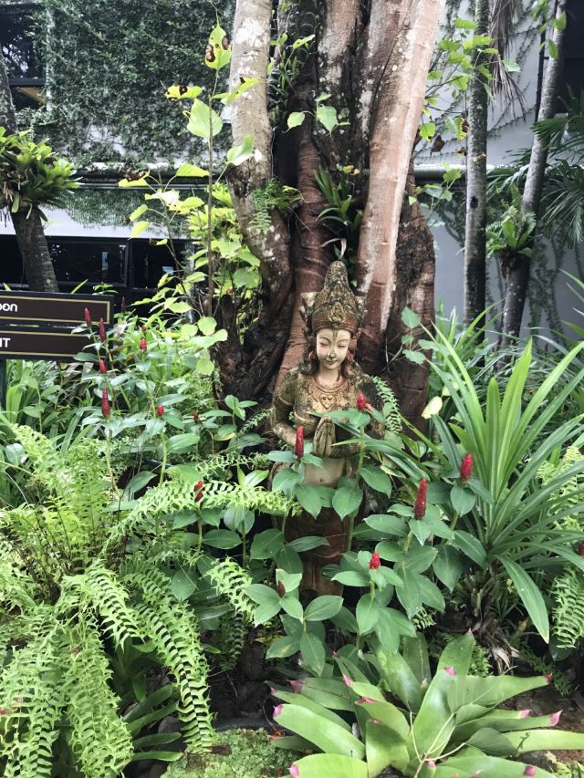 普吉岛植物园