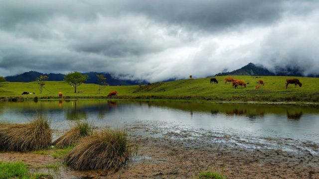 四姑娘山卧龙镇攻略,四姑娘山卧龙镇门票/游玩攻略/地址/图片/门票