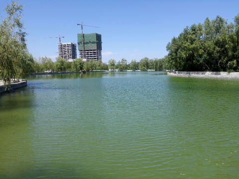 游五一农场农业示范园