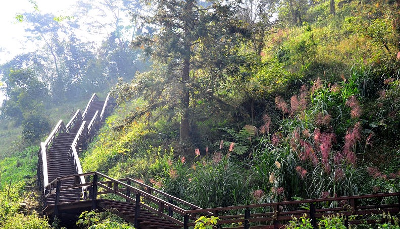 龙顶步道