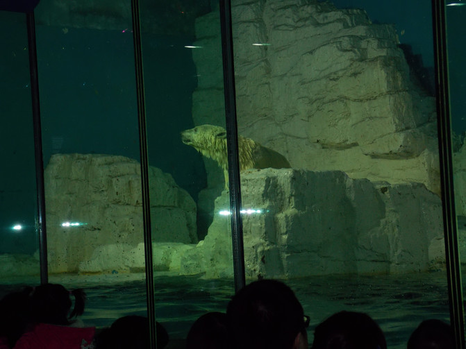 大连恐龙馆、星海广场、老虎滩乐园春节自驾亲