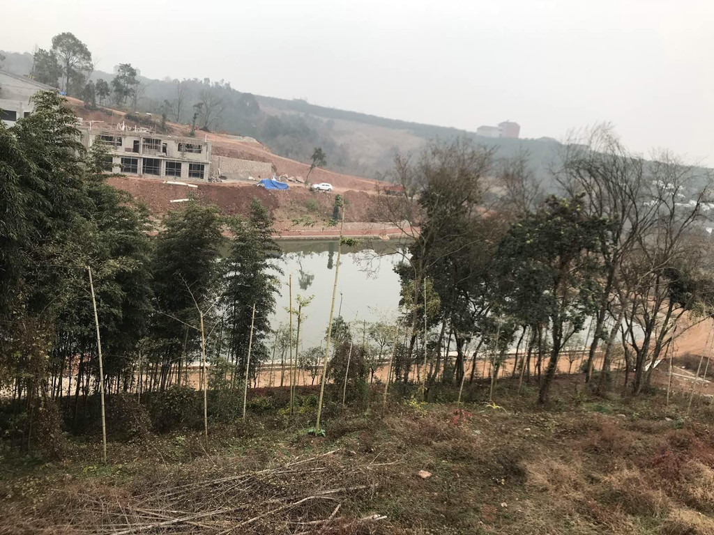 宜昌鸦鹊岭自然学校