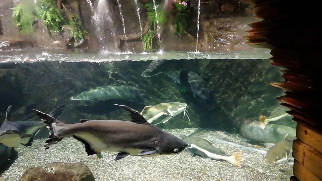 尚品水族生活馆