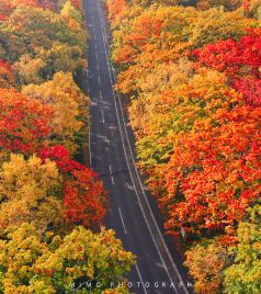 21北海道旅游攻略 8月北海道 Hokkaido 自助游 自驾 出游 自由行 游玩攻略 携程攻略