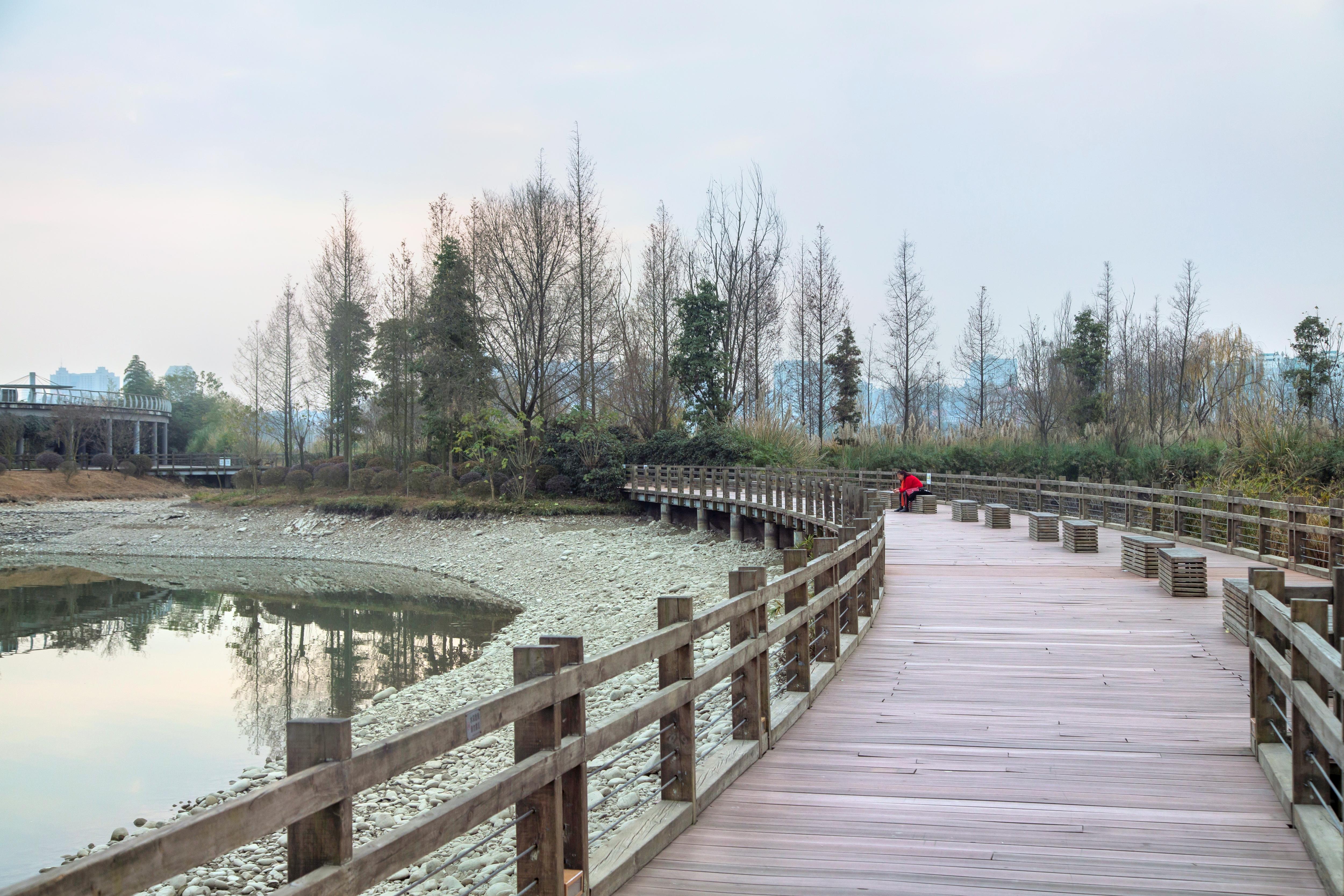 观音湖湿地公园