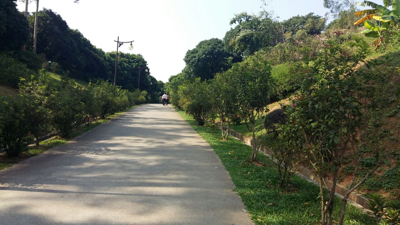 荔枝文化公园
