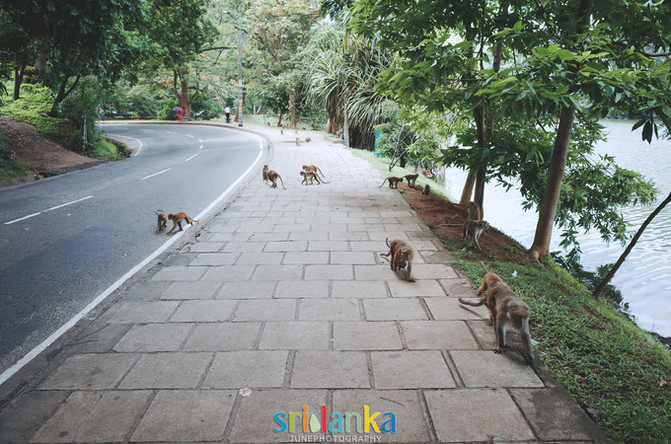 【败给坏天气,岂能败给好心情】--三十年一遇特