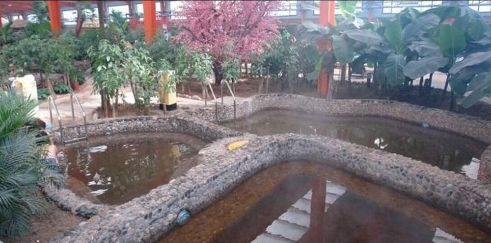汤池温泉遗址