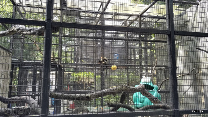 不一样的香港一日游-2(香港动植物园、孙中山