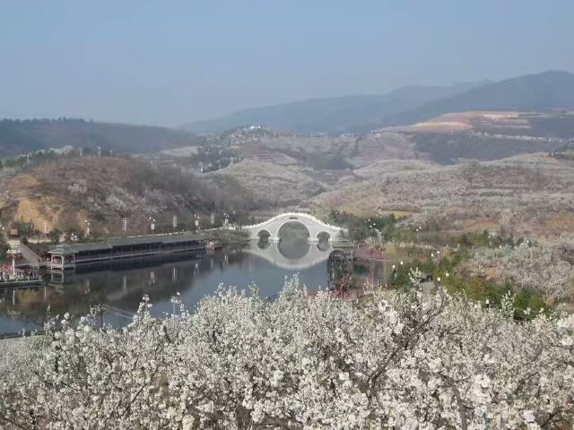 樱桃沟