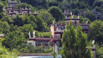 IMG_8901