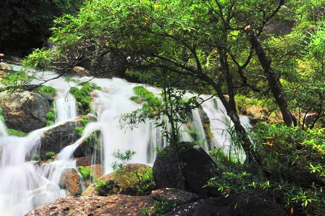 东兴屏峰雨林公园