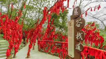 天门山 鬼谷栈道2
