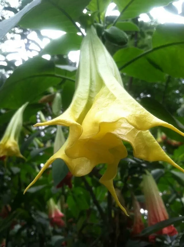 成都逛吃全攻略(附1-4天大成都游玩路线) - 成都