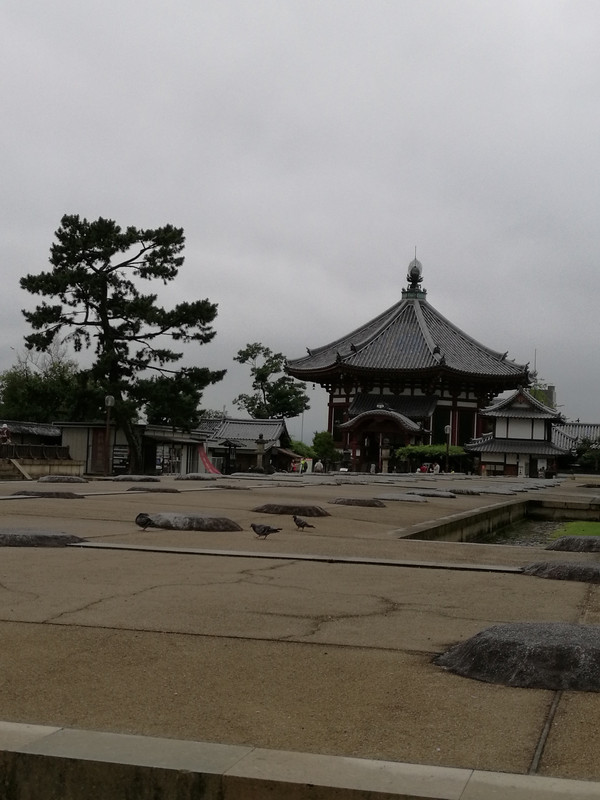 平城京的人口_平城京法隆寺平面图(2)