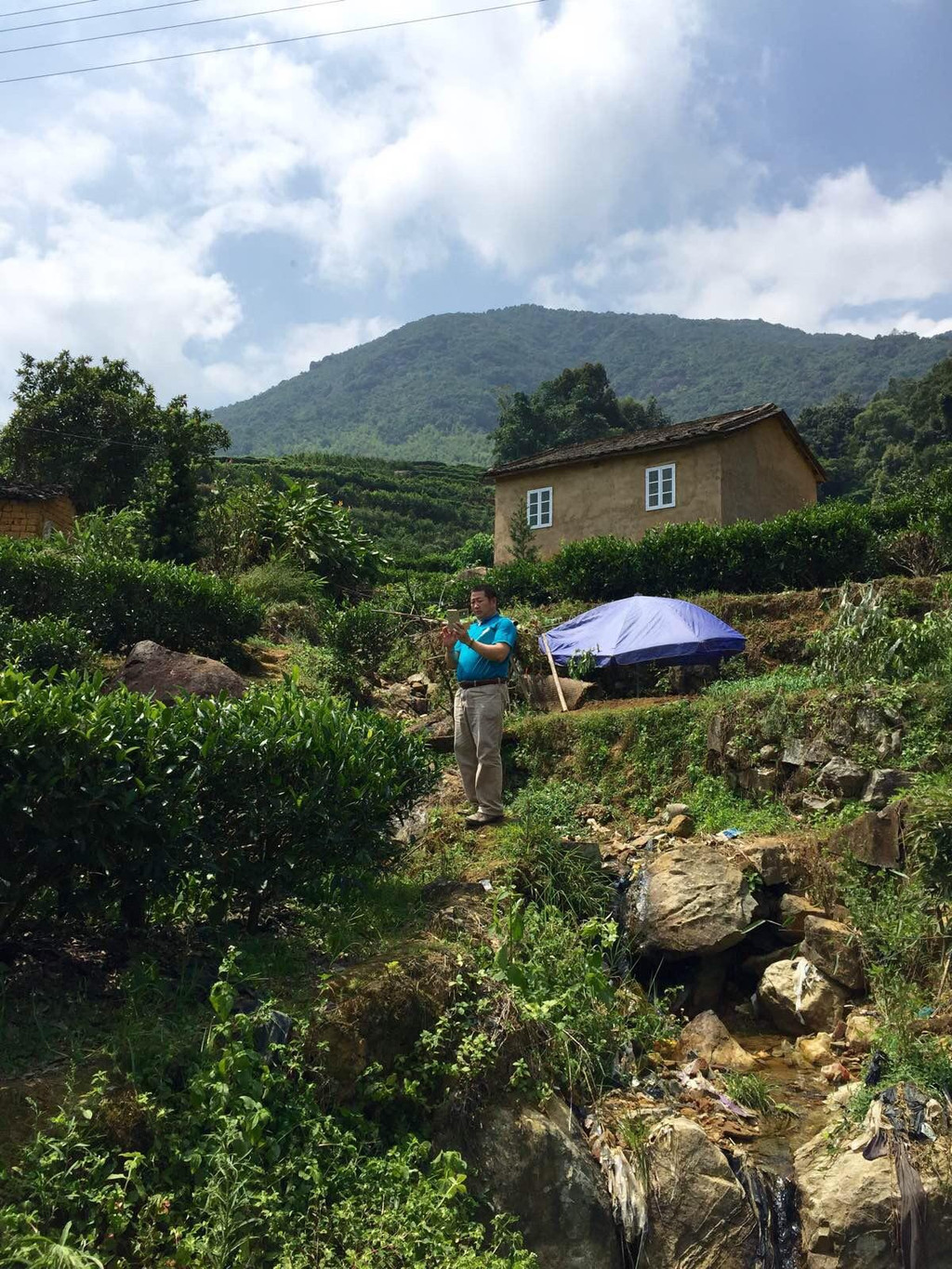 好山好水凤凰山,好茶好酒乌岽村!