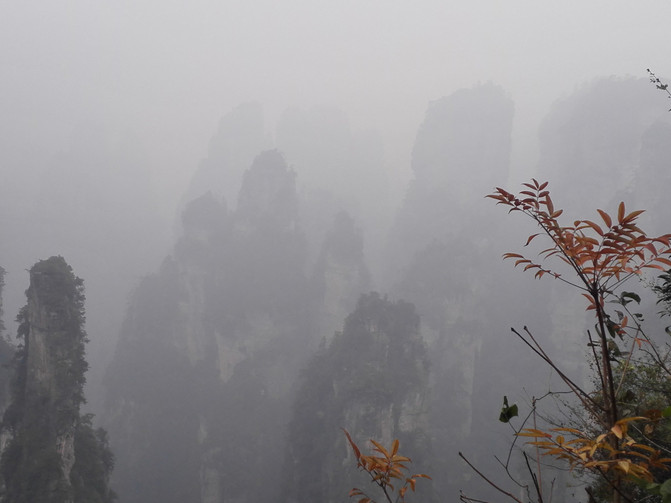 溪水什么淌成语_耳朵里淌黄水是什么(3)