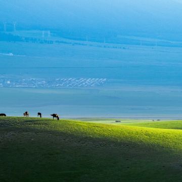 新疆巴里坤草原+巴里坤湖+高家湖湿地一日游