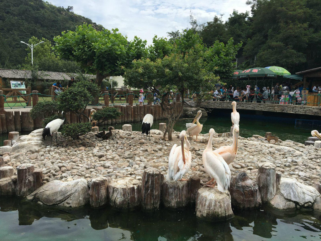 老虎灘海洋公園