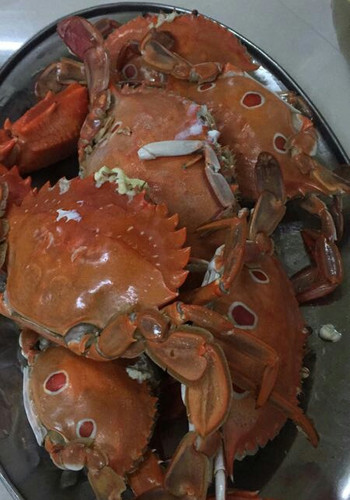 海鲜水产品种类 100d0e00000075r43BA43_C_350_500_Q90.jpg