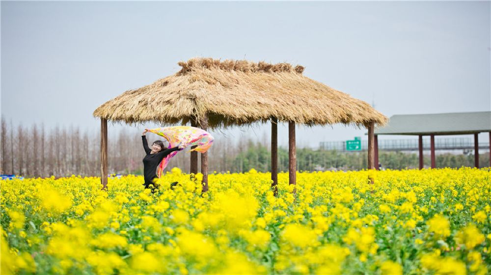 花米莊行一日遊【奉賢油菜花 上海出發 踏青 賞花 摘草莓 休閒一日遊