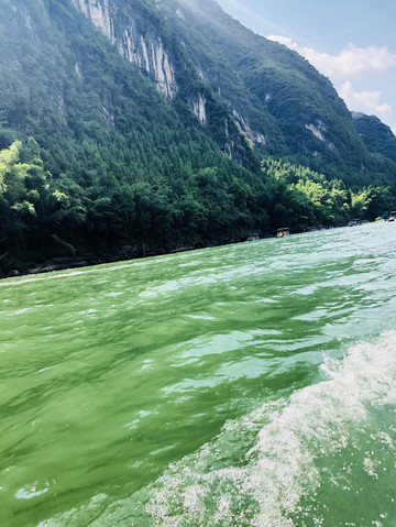 碧绿碧绿的后面是什么,碧绿碧绿的清水对吗,这是什么_大山谷图库