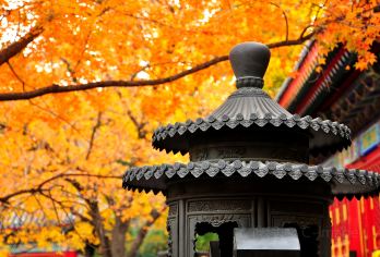 北京香山公园+慕田峪长城包车游【上门接送/可定制导游服务】【北京踏春好风景景区：北京香山，颐和园，北京城区的“绿肺，奥森；】