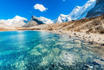 都江堰景区+青城山+看蓝眼泪一日游纯玩包车|三环内接送【[品质纯玩]纯玩品质，不进店购物，无强制消费行程透明】