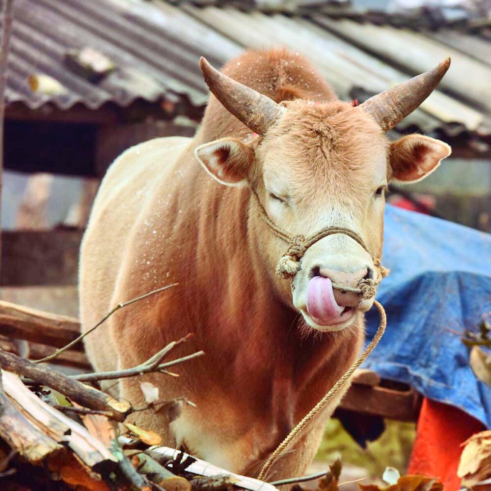 丘北县