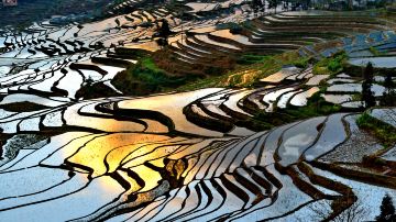 元阳梯田——云南元阳