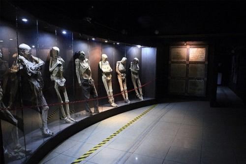 泰国曼谷 死亡博物馆 พิพิธภัณฑ์การแพทย์ศิริราช