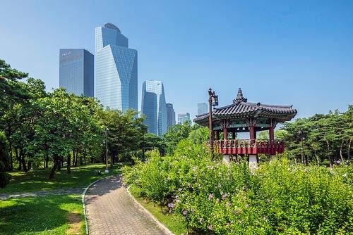 汝矣岛汉江公园